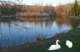 ruedumoulinilyabieneuunmoulinmaiseauilnexisteplusaujourdhuilaplaceunjoliplandeauparadisdescygnesetcanards_small.jpg