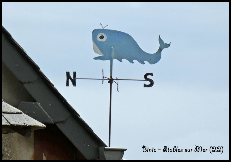 binictablessurmerbaleine.jpg