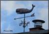 plouezecbaleine_small.jpg