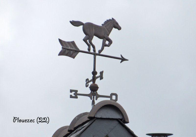 plouezeccheval.jpg