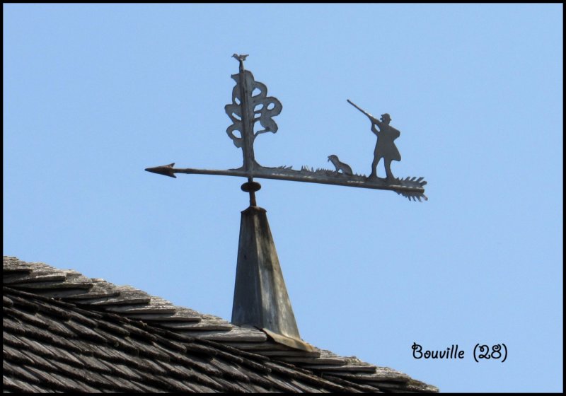 bouvillechasseurmoulinpelard.jpg