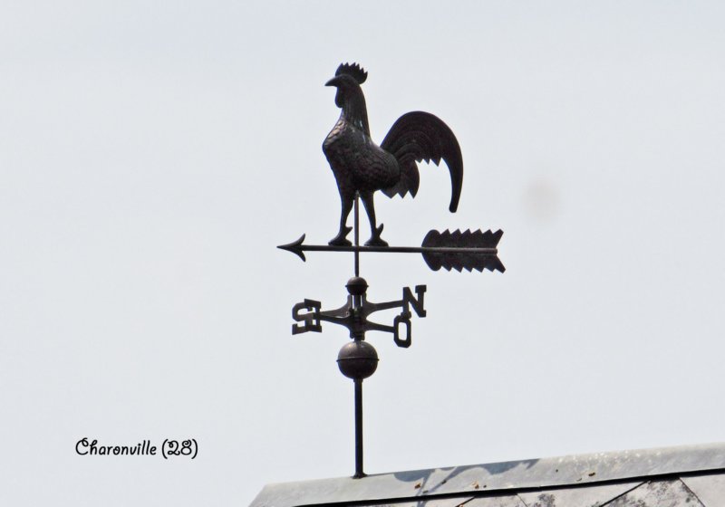 charonvillecoq2678.jpg