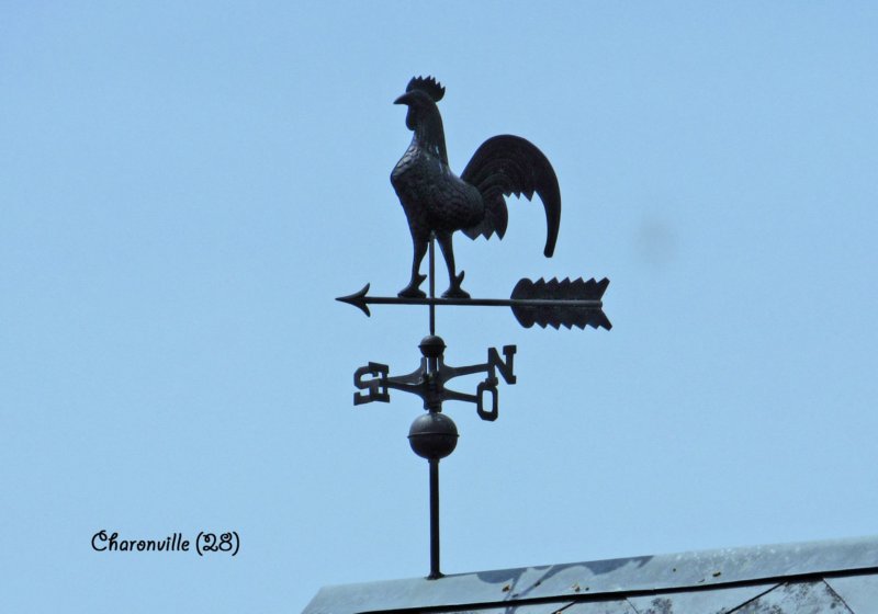 charonvillecoq2678cb.jpg