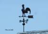 charonvillecoq2678cb_small.jpg