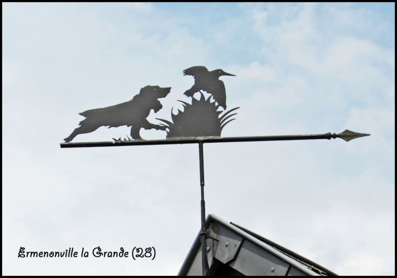 ermenonvillelagrandechienoiseaualsace.jpg