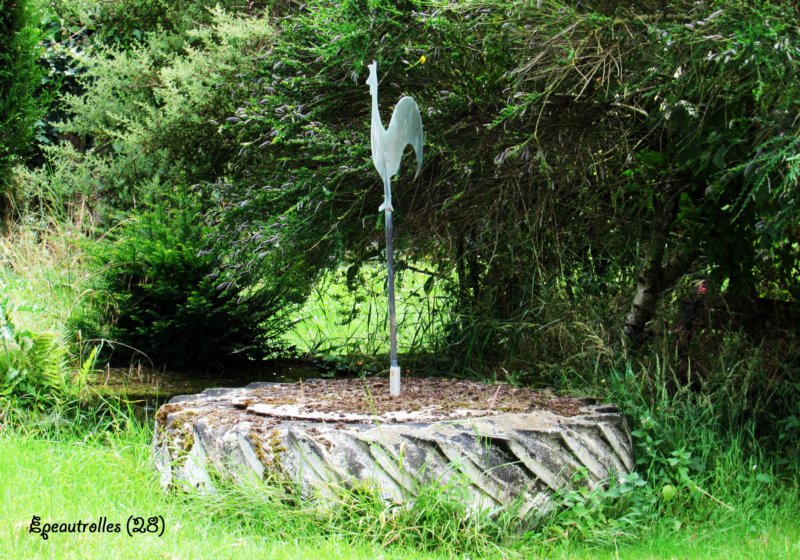 peautrollescoqmerlusine.jpg
