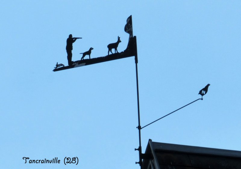 tancrainvillechasseurnordoiseau.jpg