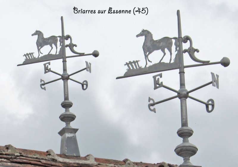 briarressuressonnechevalhaie.jpg