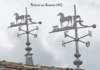 briarressuressonnechevalhaie_small.jpg