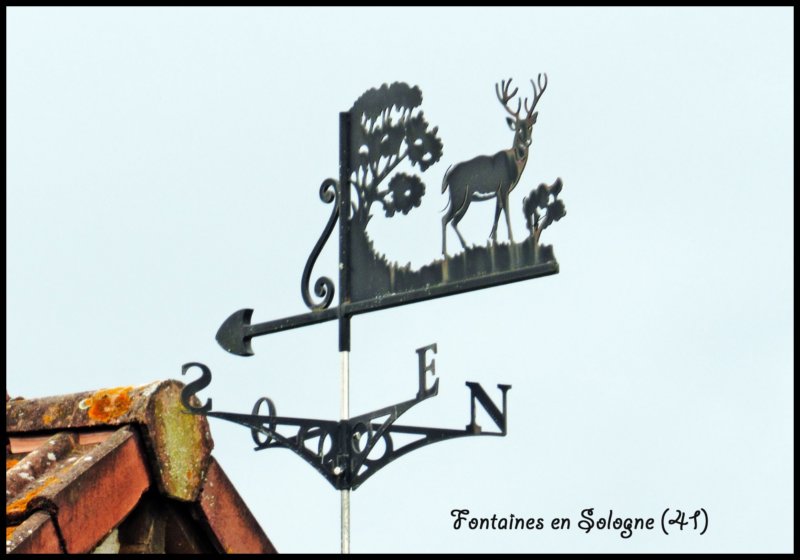 fontainesensolognecerfcourscheverny.jpg