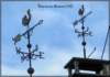 briarressuressonnecoqbusseaucb_small.jpg