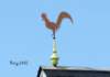 bricycoqencouleurrueduchateau21_small.jpg