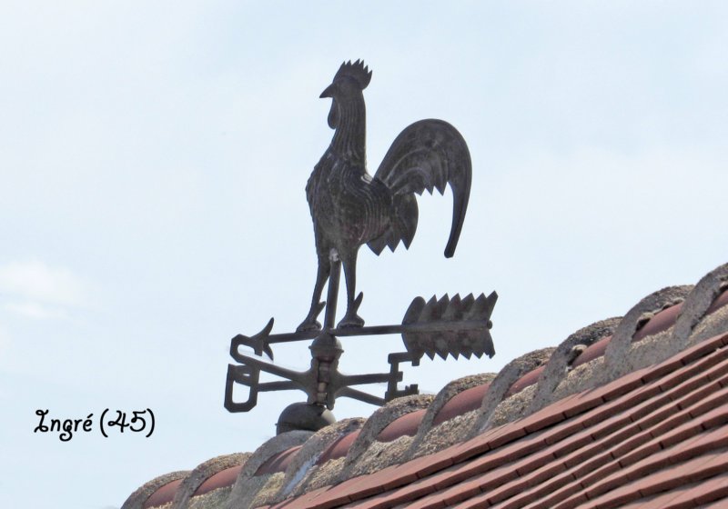 ingrcoqsirbatchampoigny.jpg