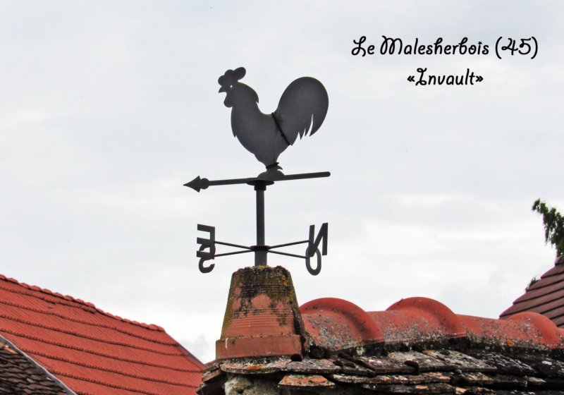 lemalesherboiscoqinvaultprsmare.jpg