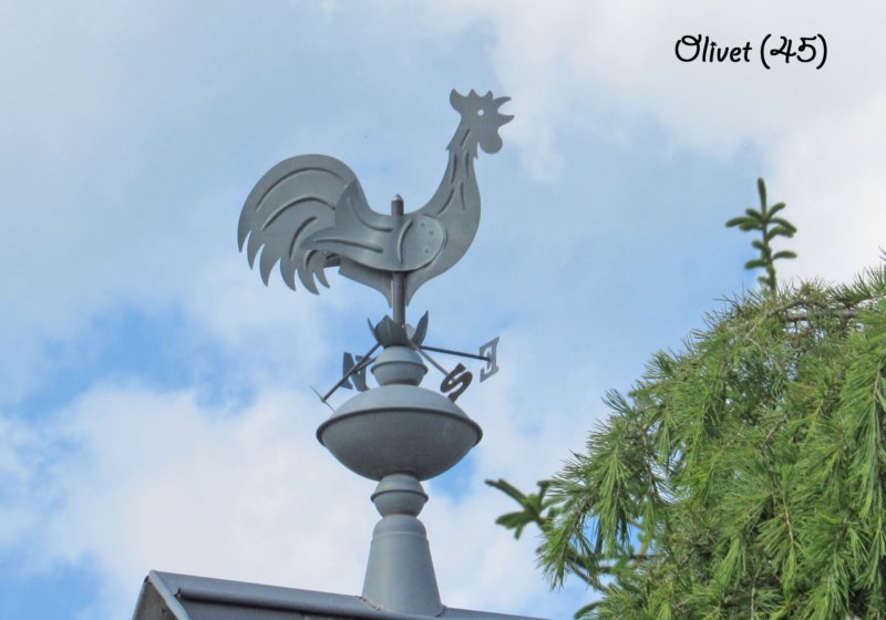 olivetcoqruebarbotte2021.jpg