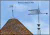 briarressuressonneflammepigeonnierfrancorvillecb_small.jpg