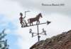 briarressuressonnelaboureurbusseau_small.jpg