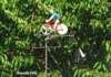outarvillecyclisteetbateau2_small.jpg