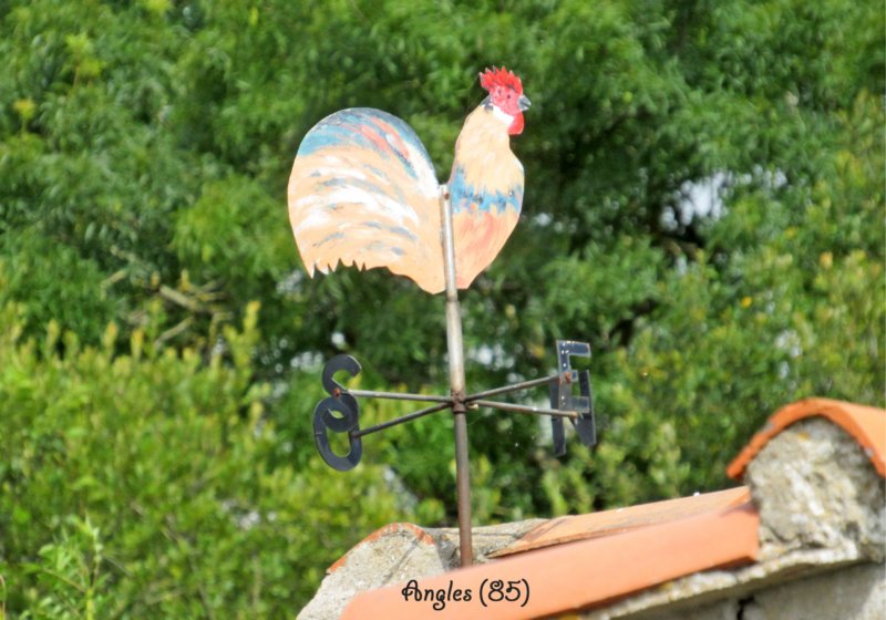 anglescoqcolorrtedesconches.jpg