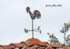 jardsurmercoqhrondas030721_small.jpg
