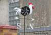 longevillesurmercoqlesconchespalonnire_small.jpg