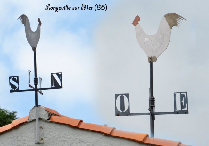 longevillesurmercoqrocherversbouil.jpg