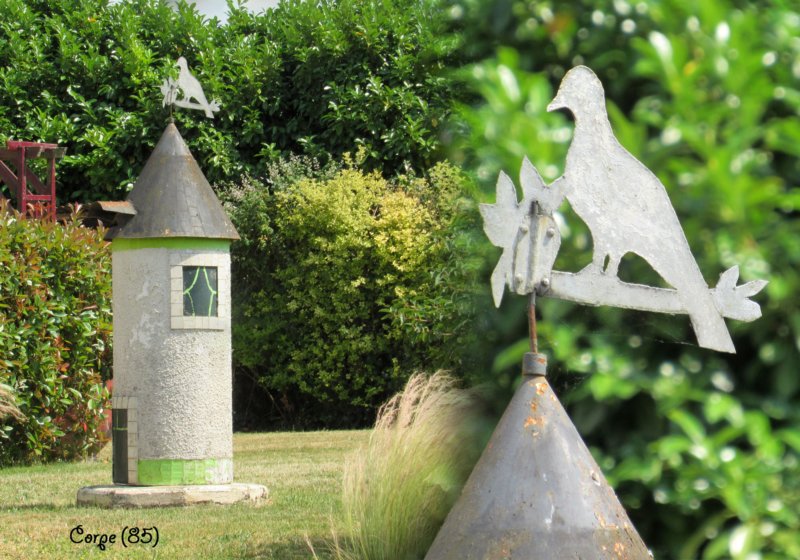 fdanicorpeoiseaumoulindejardinrp.jpg