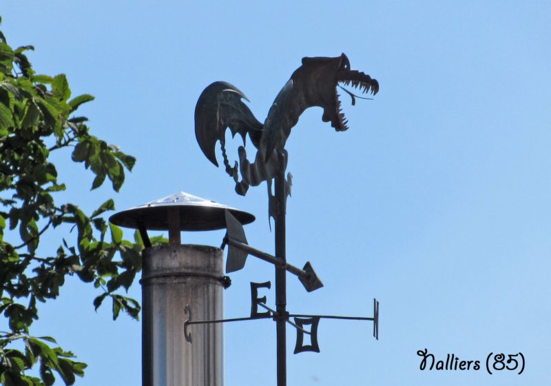 nalliersdragoncoq.jpg
