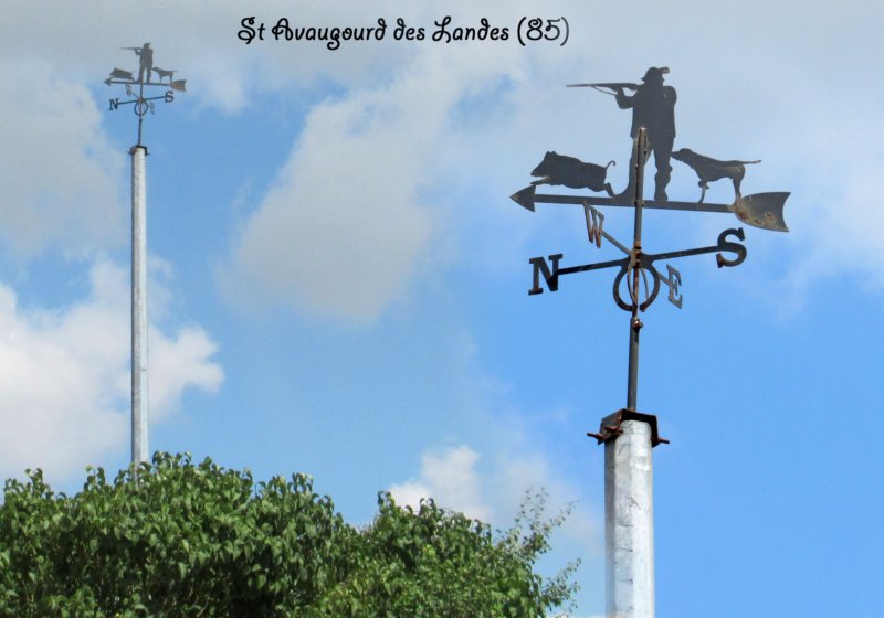 stavaugourddeslandeschasseurlacaradure.jpg