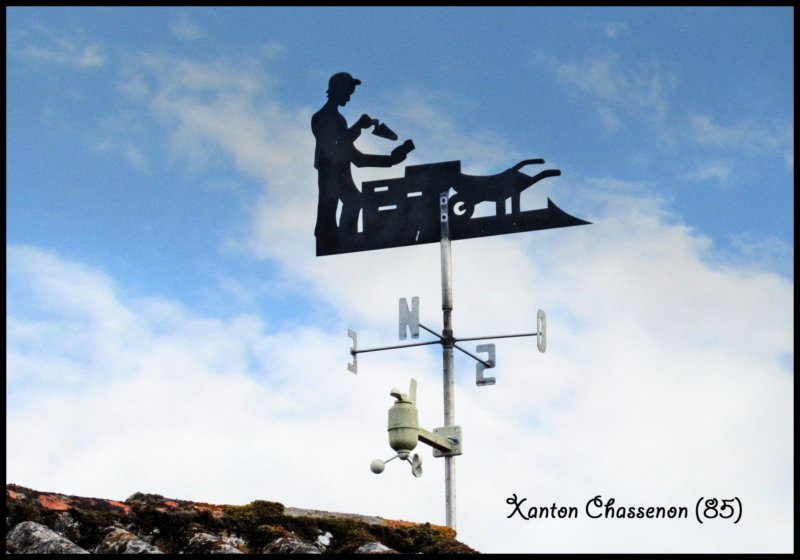 xantonchassenonmaonchassenoncb.jpg