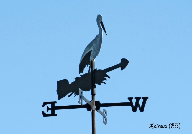 fdanilairouxcigogne20212.jpg