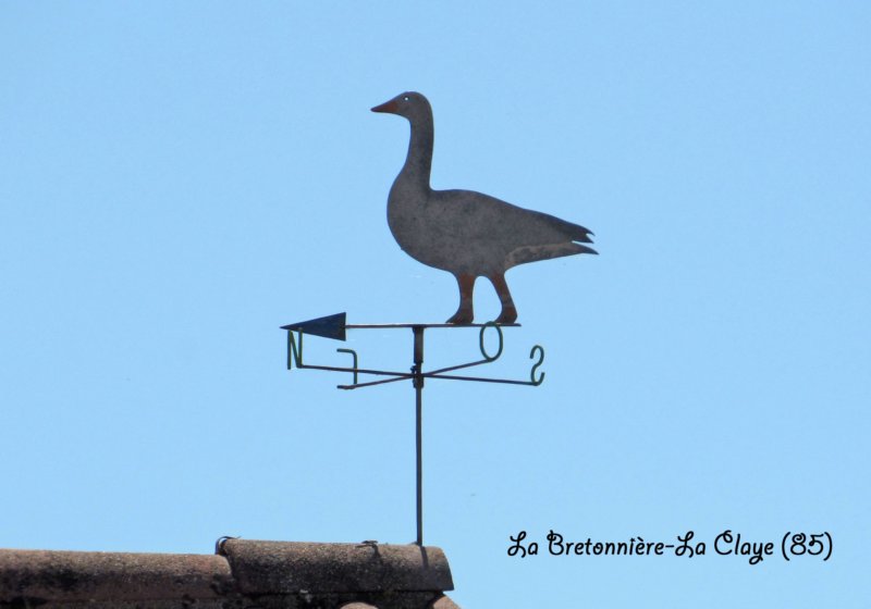 labretonnirelaclayecanard.jpg