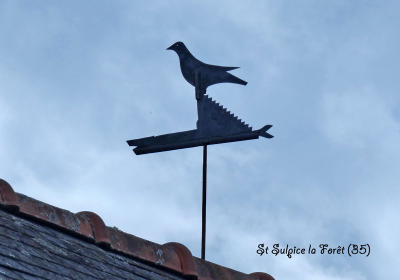 stsulpicelafort35oiseau1.jpg