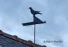 stsulpicelafort35oiseau1_small.jpg