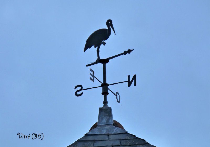 vitrcigogne35.jpg