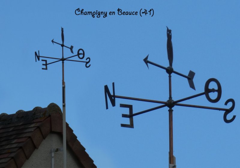 champignyenbeauce413.jpg