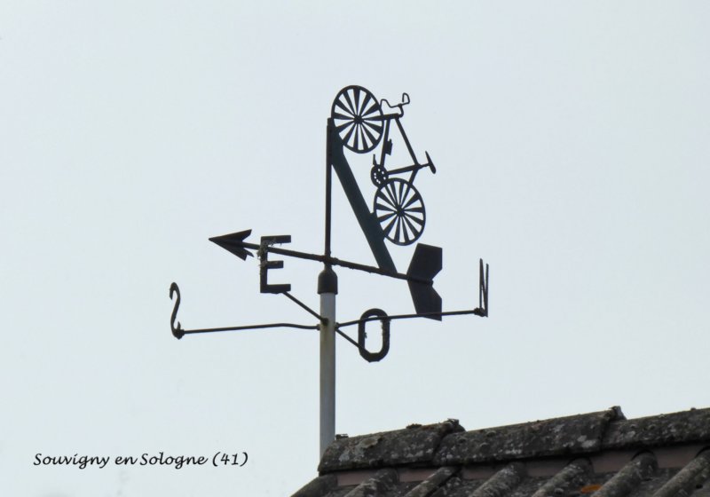 souvignyensologne414.jpg
