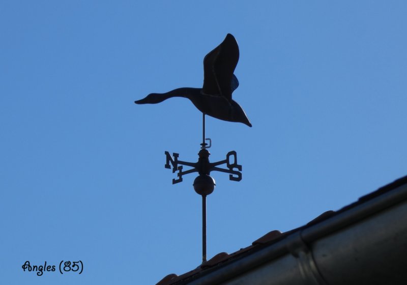 angles852.jpg
