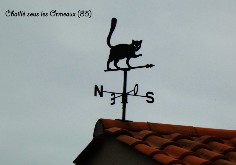 chaillsouslesormeaux853.jpg