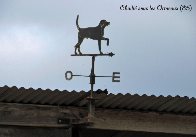 chaillsouslesormeaux855.jpg