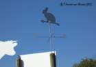 stvincentsurgraon85_small.jpg